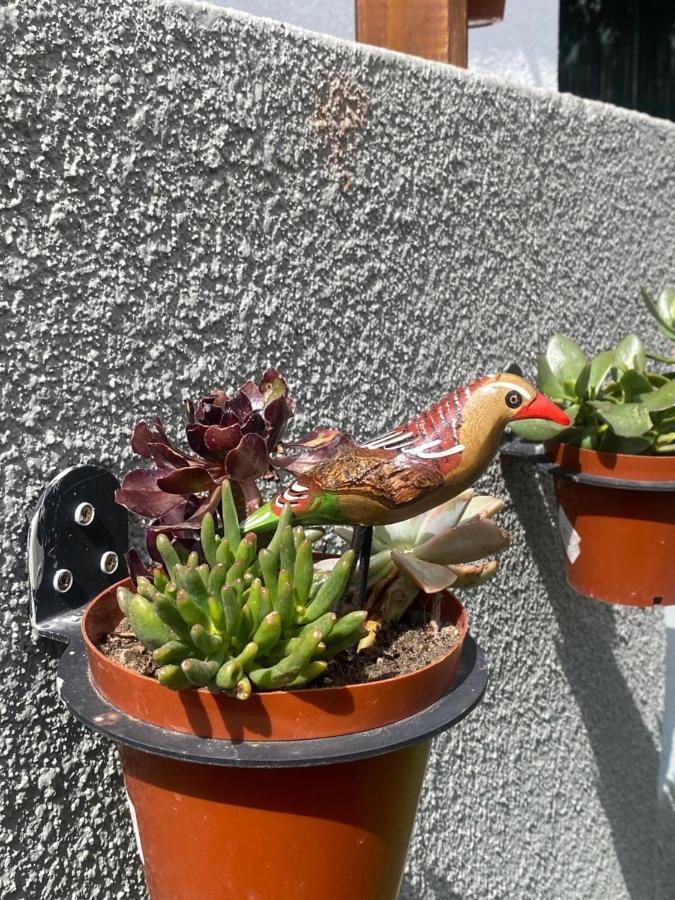 Holiday home Walmer - Cute & Pet Friendly *